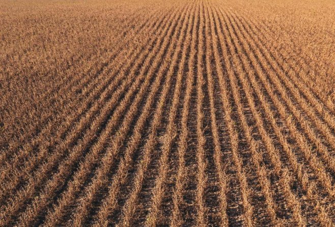 Agricultura își schimbă abordarea:  mai puține lucrări, mai multă protecție pentru sol