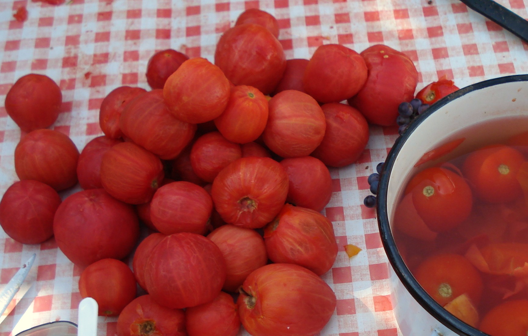 Tocana de legume (reteta usoara)