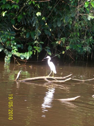 Calatorie in Costa Rica