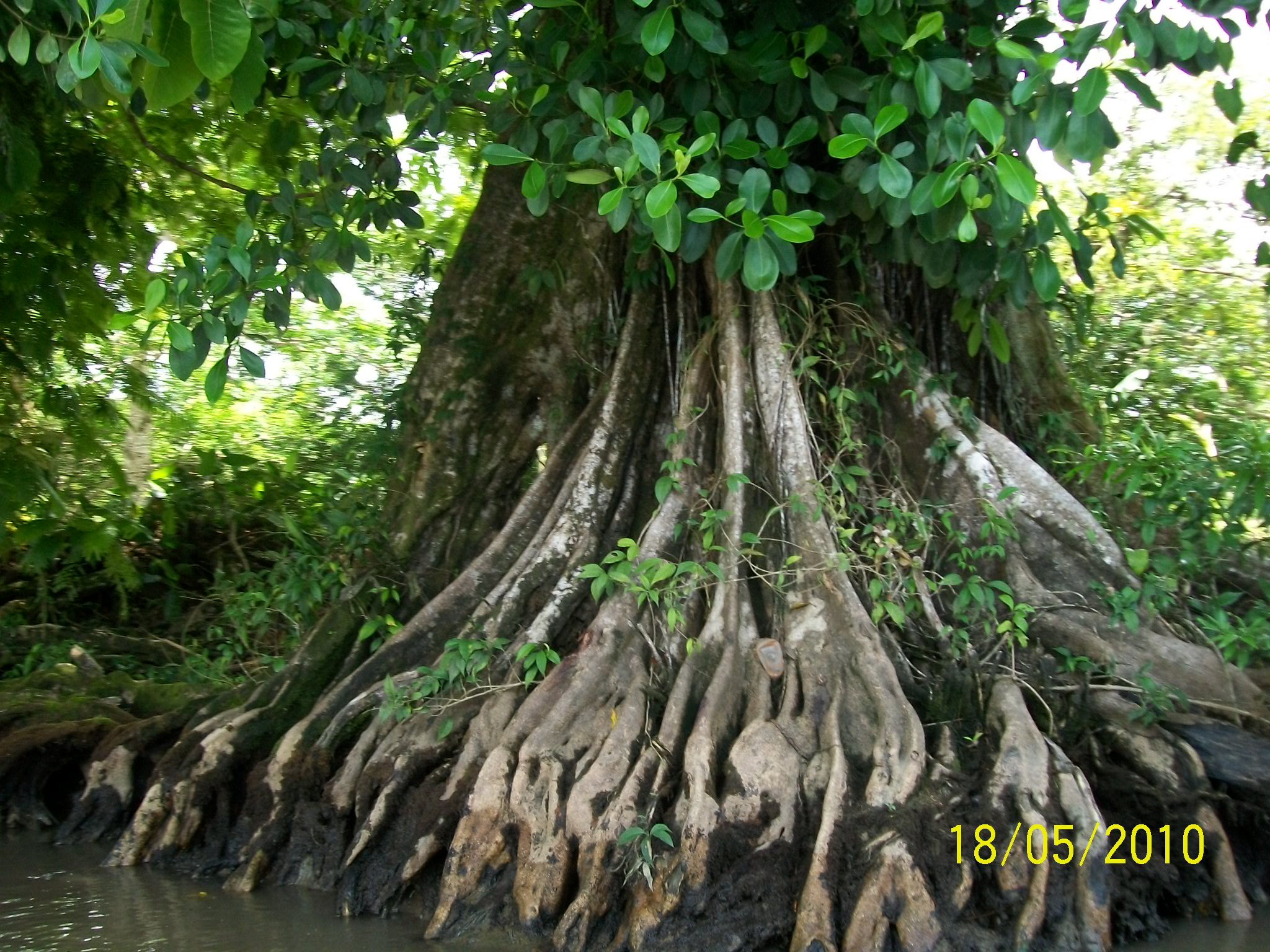 Calatorie in Costa Rica