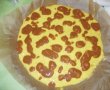 Tarta Dalmatian-1