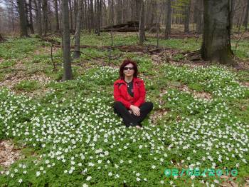 Hai Hui prin Maramures (3) Suior cota 1000