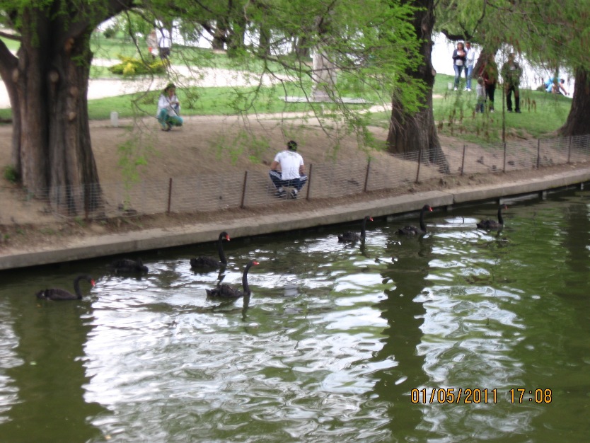 Parcul Herastrau