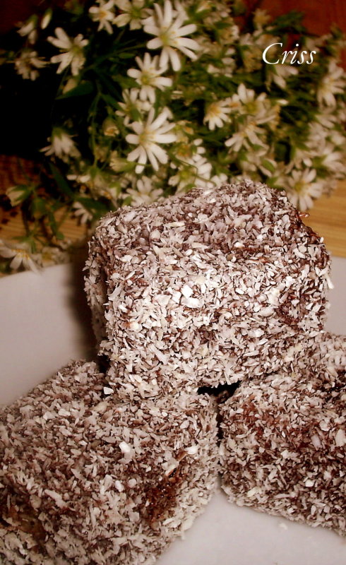 Lamingtons