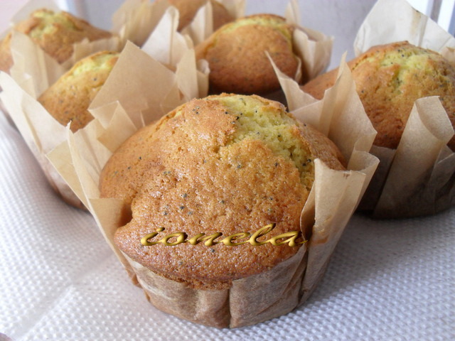 Briose cu seminte de mac (Poppy Seed Muffins)