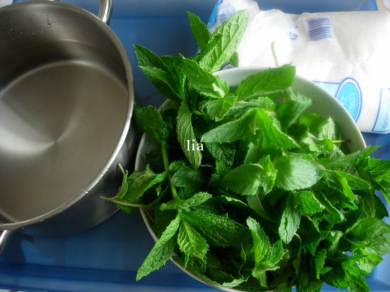 Sirop natural din menta