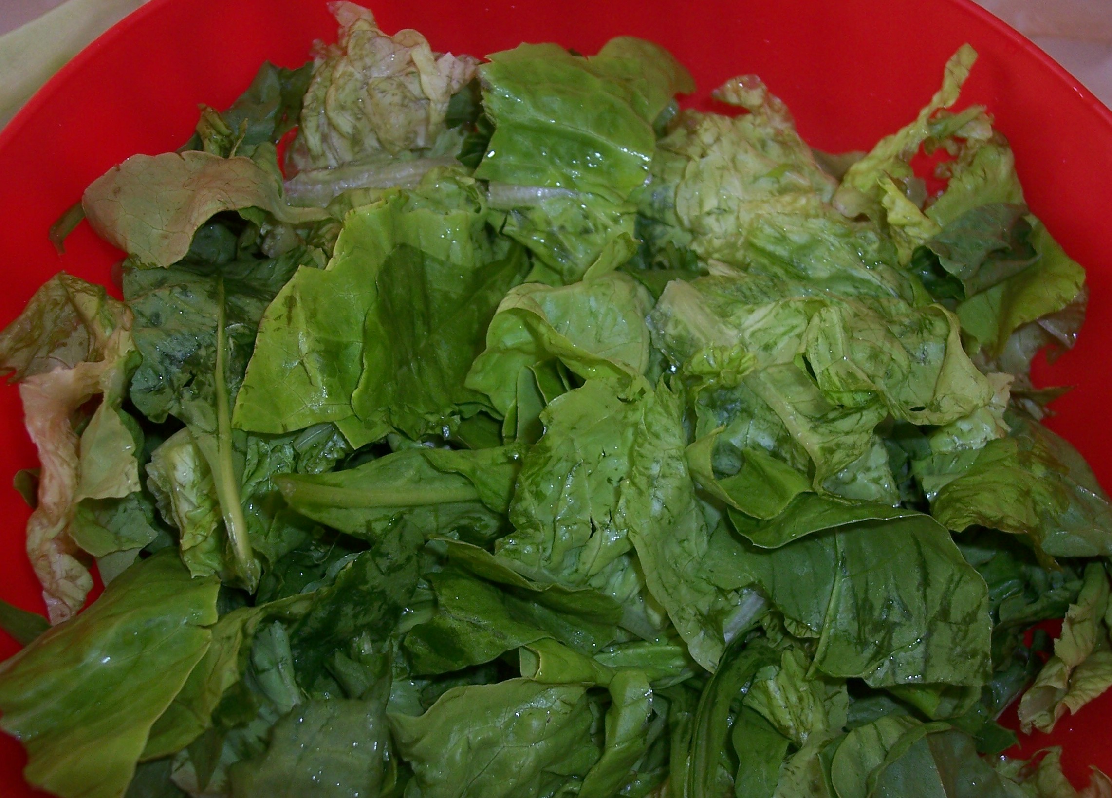 Salata verde