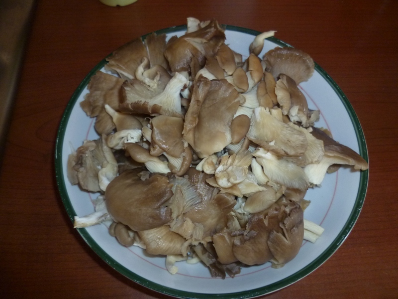 Pleurotus cu branza si smantana