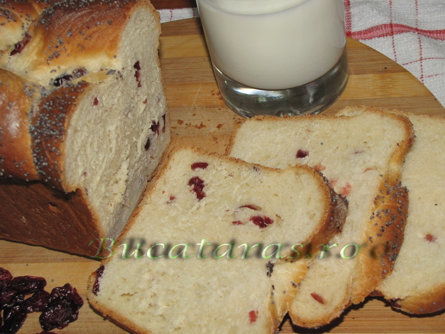 Cranberries Bread