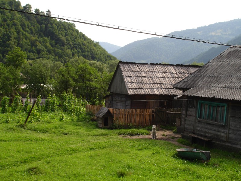 Cu mocanita pe Valea Vaserului