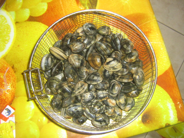 Fructe de mare (midii, scoici (vongole verace)si puisori de caracatita