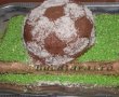 Tort Minge de Fotbal-2