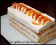 Tort Orange Delight-1