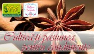 Cultiva-ti pasiunea pentru condimente     