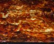 Lasagna " Primavera"-2