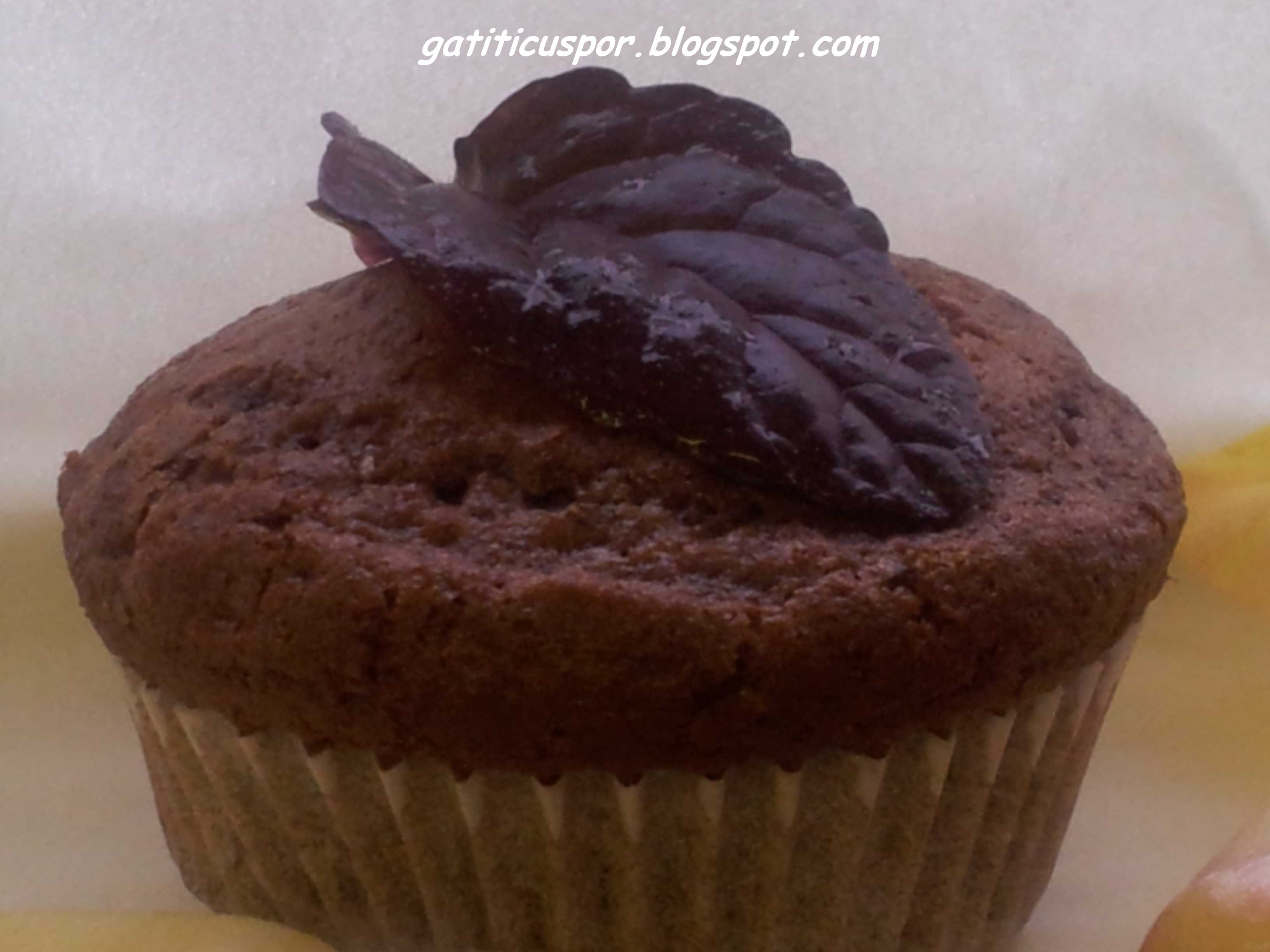 Chocolate Muffins