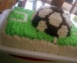 Tort teren de fotbal-2