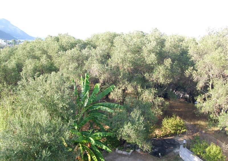 Corfu - o insula pentru linistea mea!