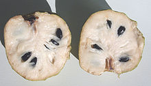 Anona Fruct exotic miraculos