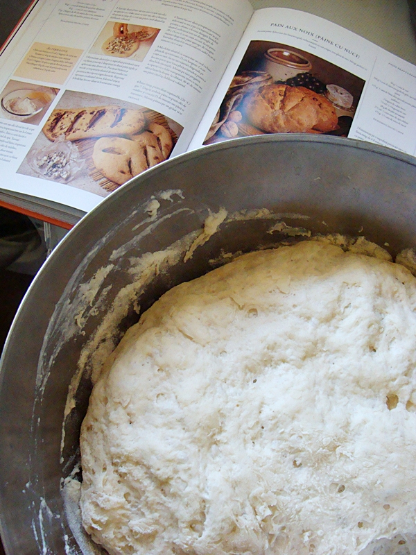 Fougasse aux Fleur de Sel