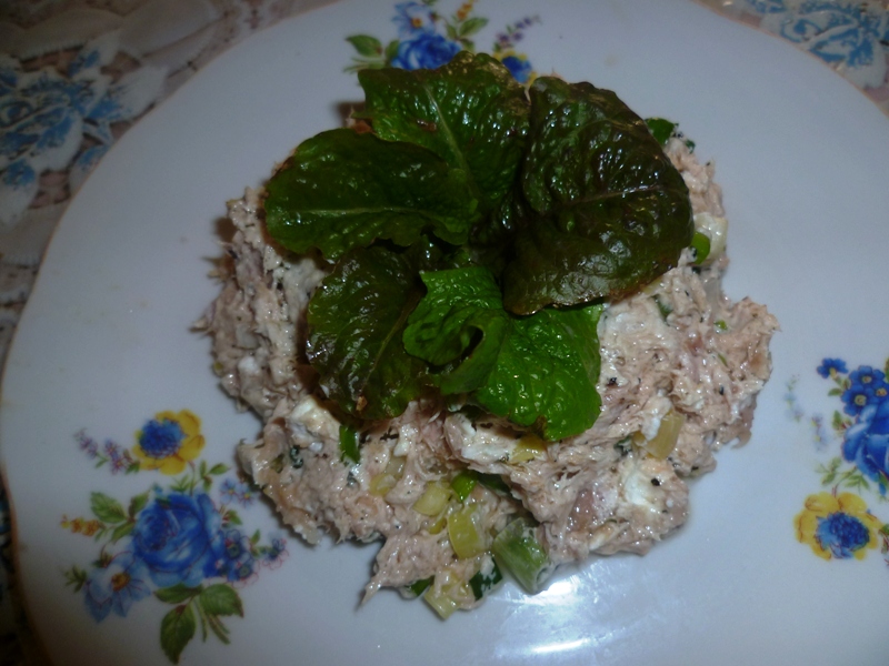 Salata de ton cu ceapa verde si feta