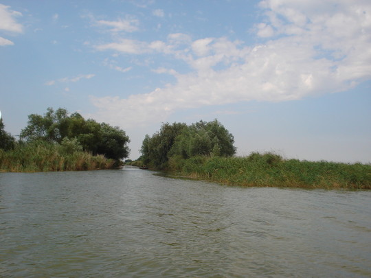 Ca sa alung iarna ,vorbesc despre mare....