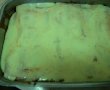 Cannelloni cu carne de vita-6