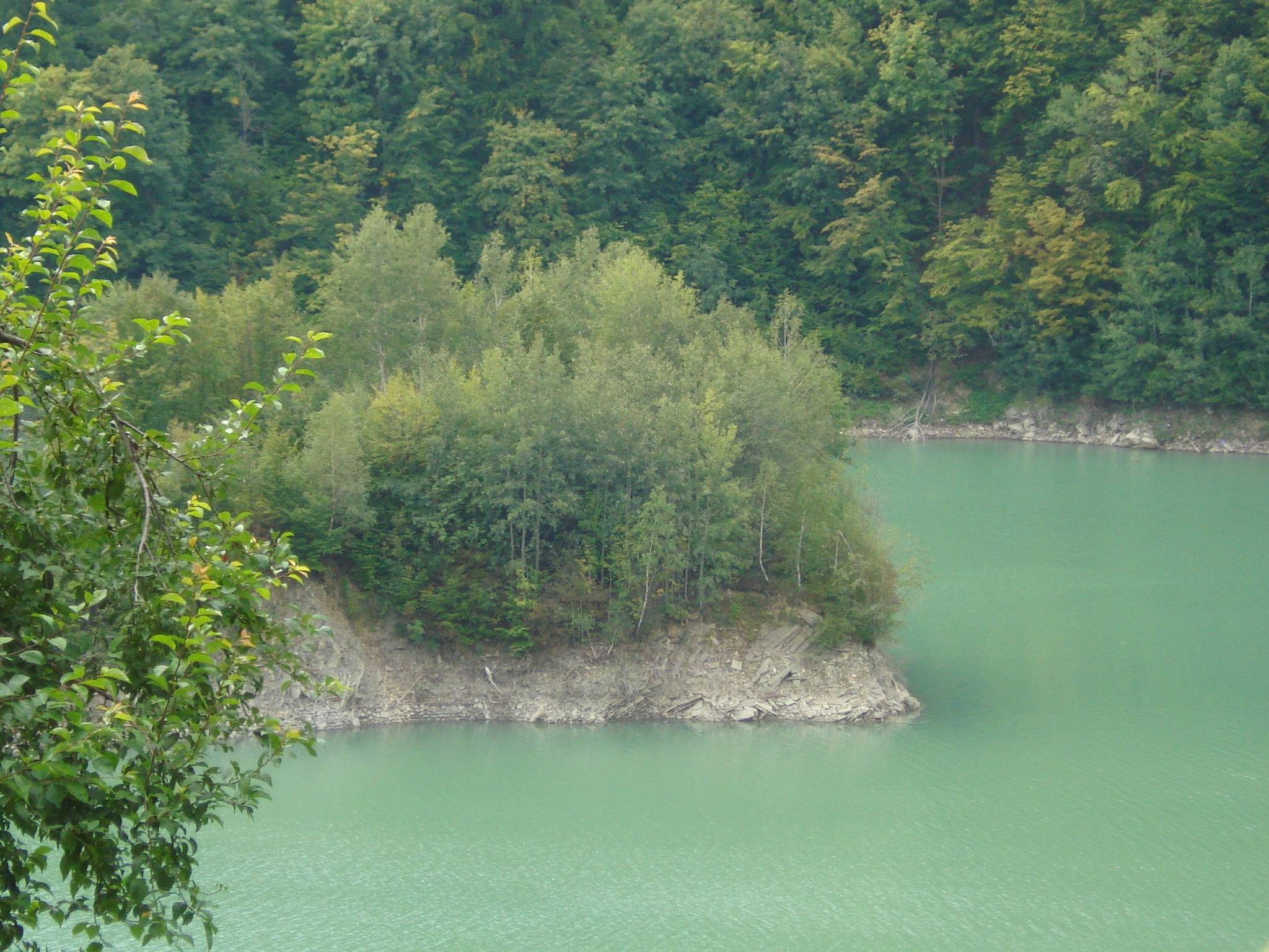 Festivalul cascavelei de la Valea Doftanei-Prahova