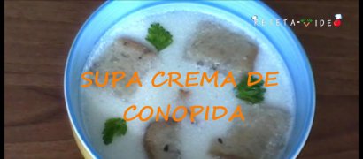 supa crema de conopida