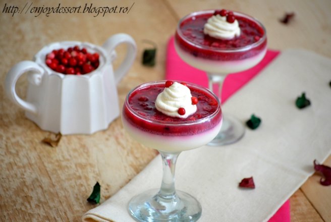 Panna cotta cu merisoare