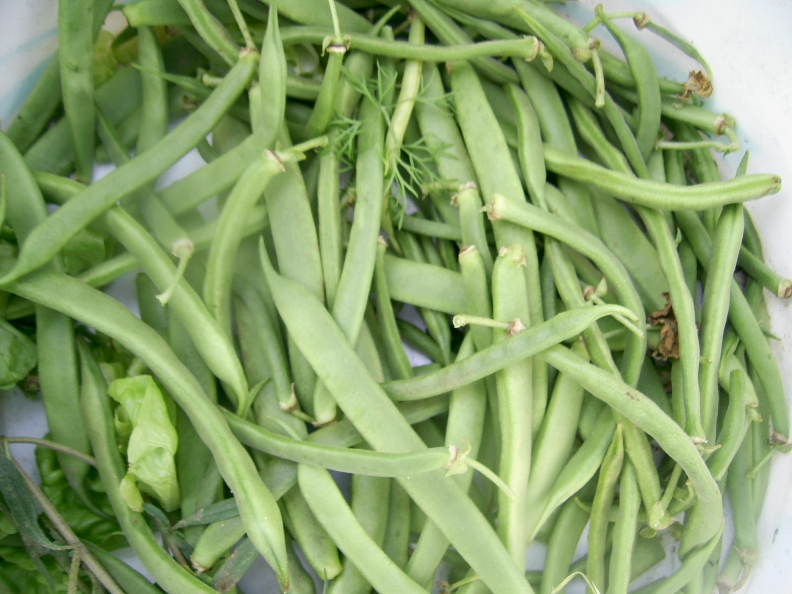 Ciorba de fasole verde cu praz