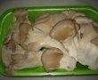 Ciuperci Pleurotus pane-0