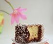 Lamingtons - Prajitura tavalita-5