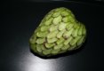 Cherimoya-3