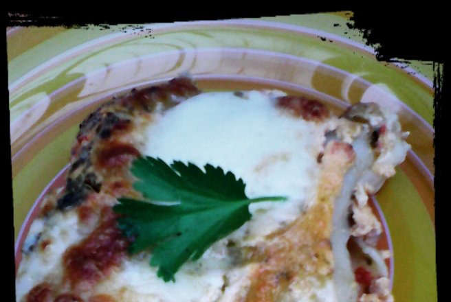 Cannelloni con carne si mozzarella