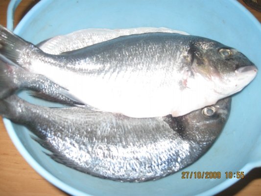 Dorada cu legume in folie de aluminiu la cuptor