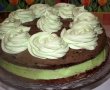 Tort cu crema de menta si ciocolata-7