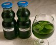 Sirop de menta-10