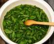 Sirop de menta-11