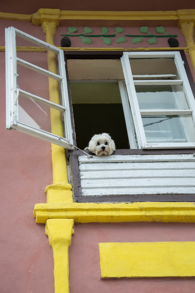 Intalnirea bucatarasilor - Sighisoara 2015