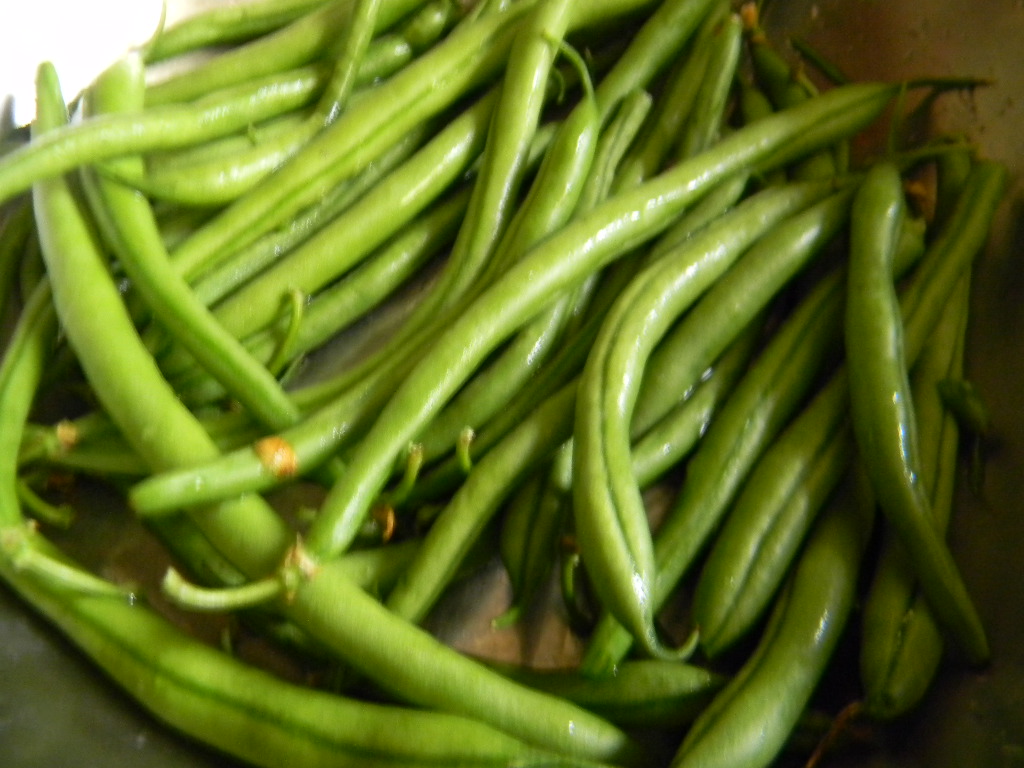 Salata de fasole verde cu piept de curcan