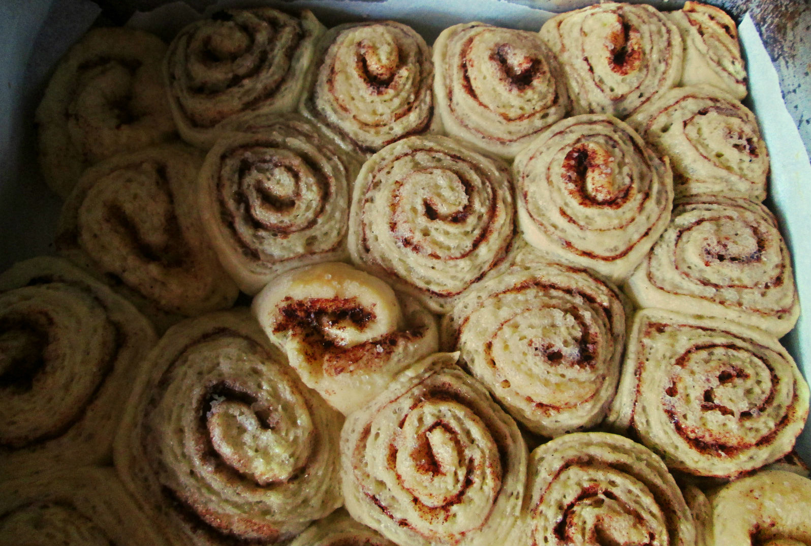 Melcisori cu scortisoara (Cinnamon rolls)