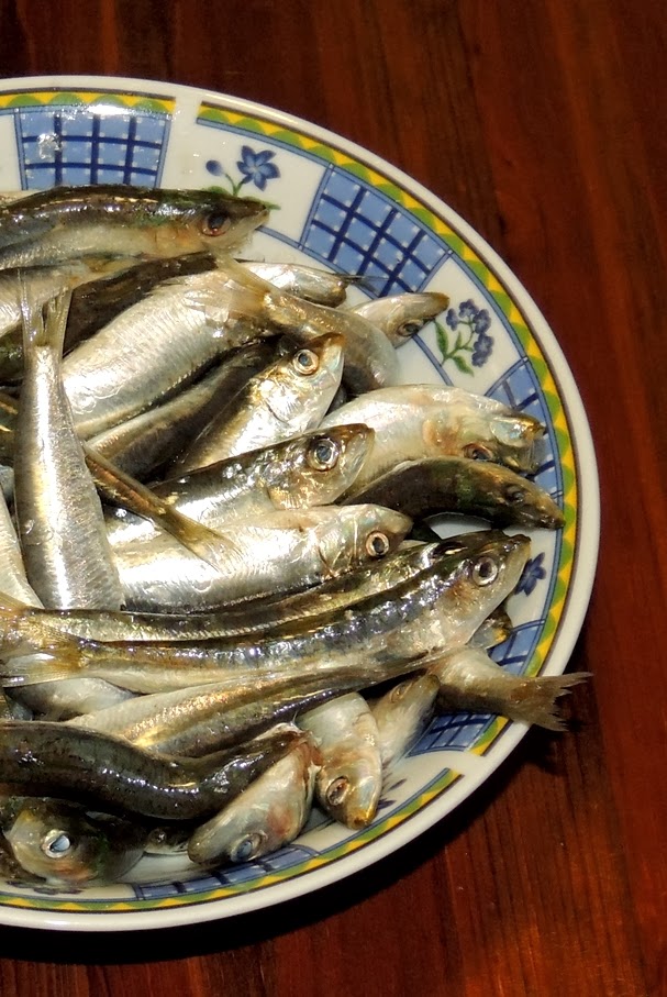 Sardine prajite