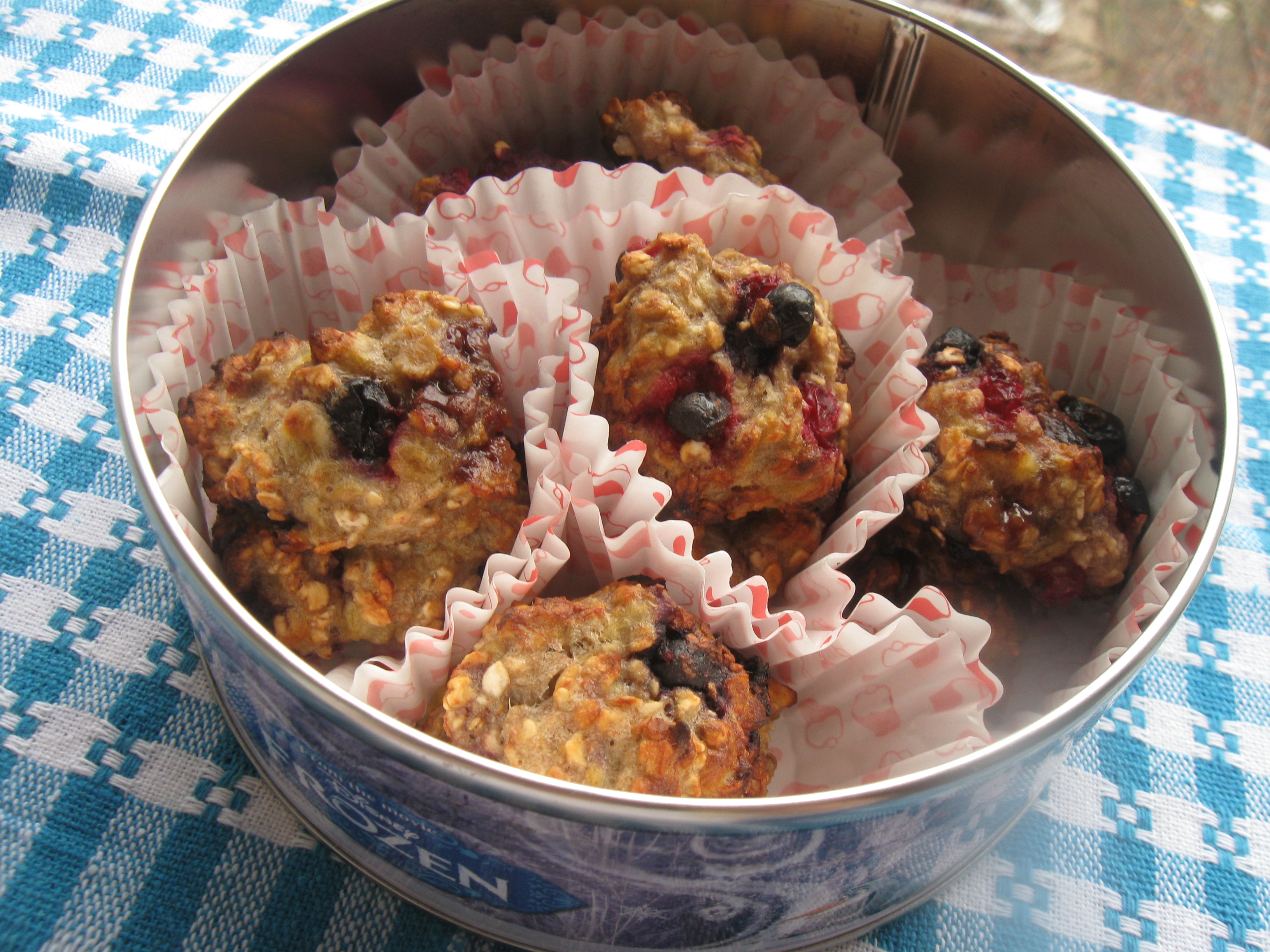 Cookies cu fulgi de ovaz si fructe de padure