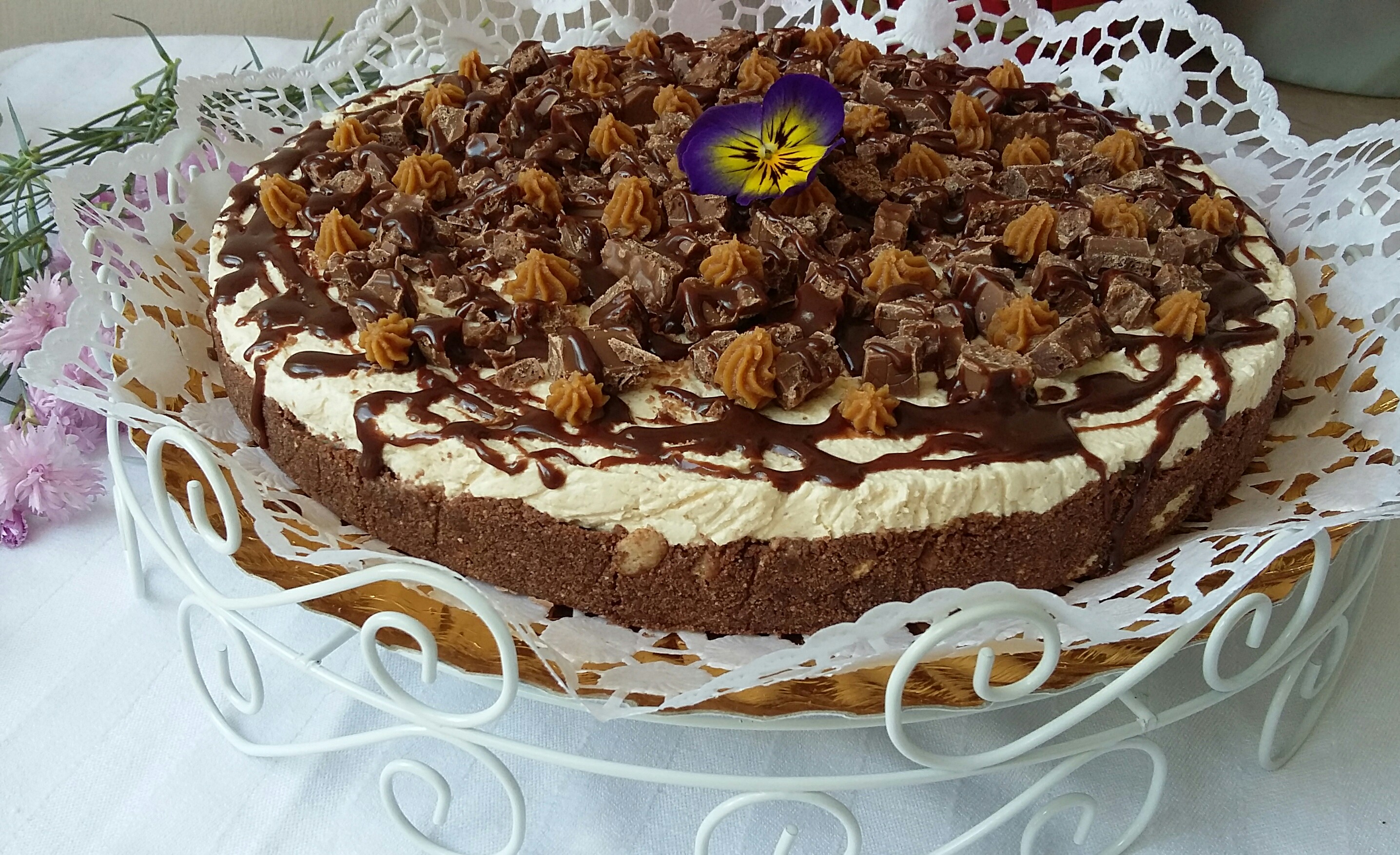 Cheesecake cu unt de arahide si ciocolata - Reteta nr. 500