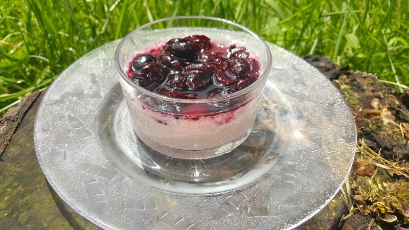 Panna cotta cu cirese