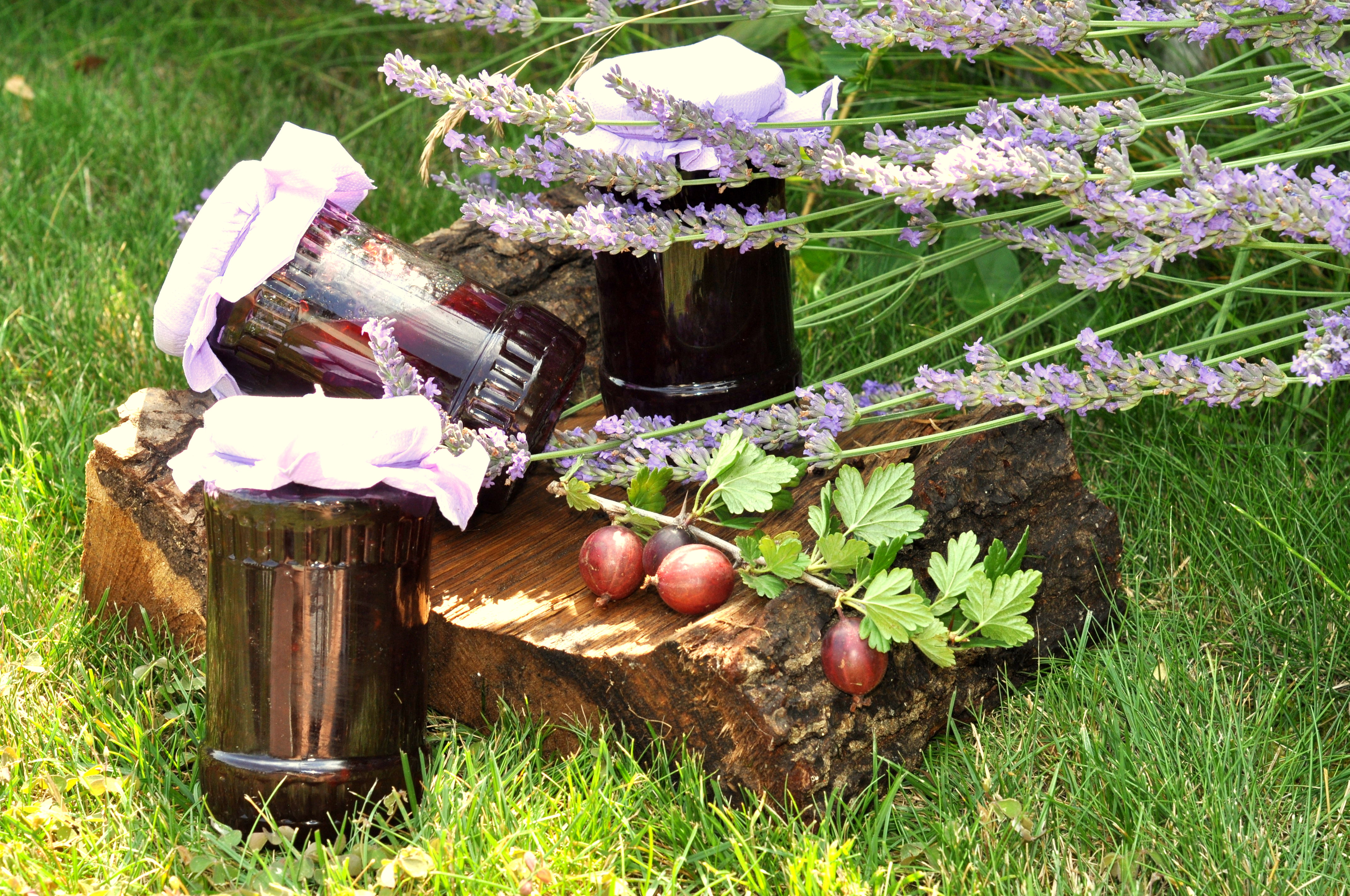 Dulceata de agrise cu lavanda - Provence