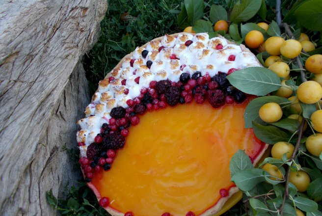 Tarta de fructe de padure si jeleu de corcoduse