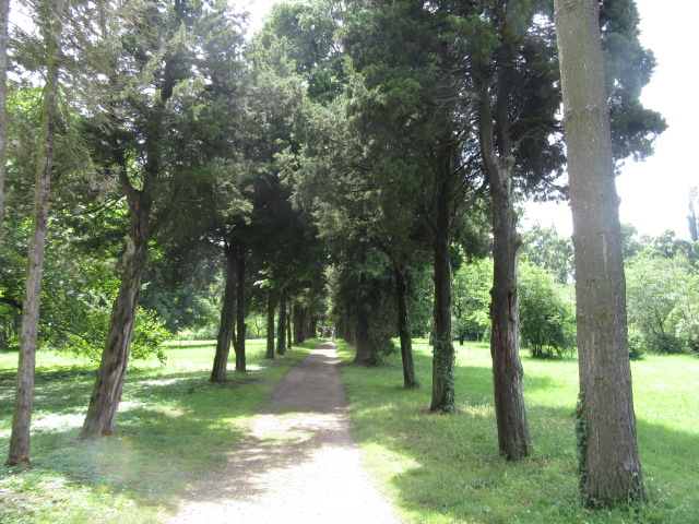 Palatul Stirbei/Buftea