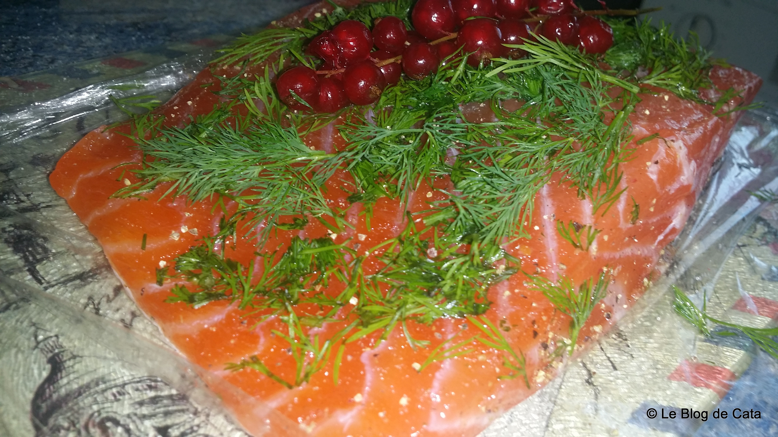 Somon gravlax